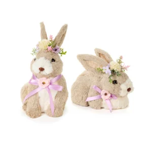 Coniglio “Bunny”